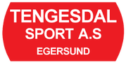 Tengesdal Sport